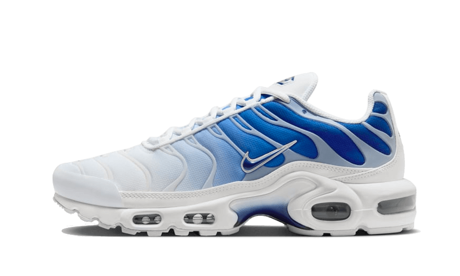 Air Max Plus - Blue Fade